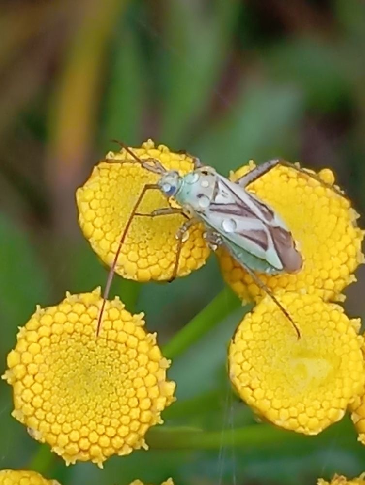 Photograph by Елена Коробченко