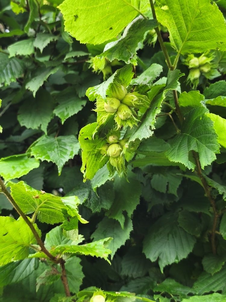 Photograph by Rein Mändaru