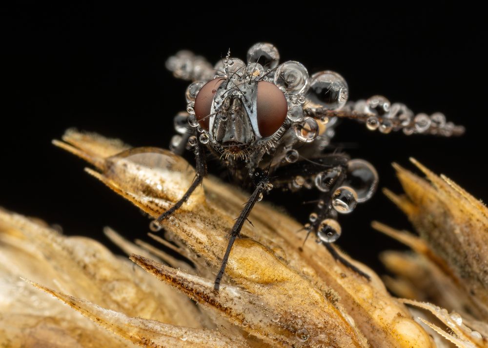 Photograph by Michael Gerhold