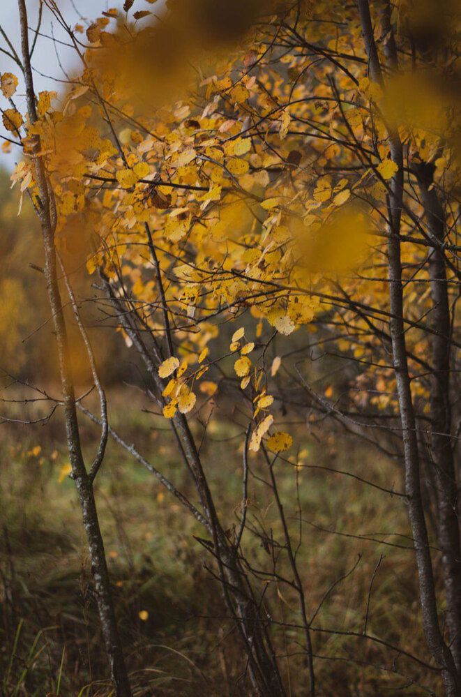 Photograph by Светлана Гаврикова