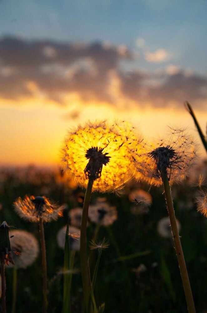 Photograph by Светлана Гаврикова