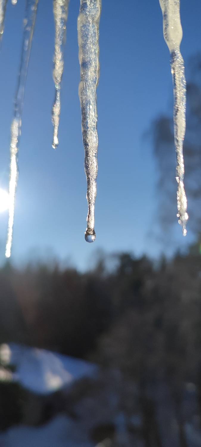 Photo #12603116