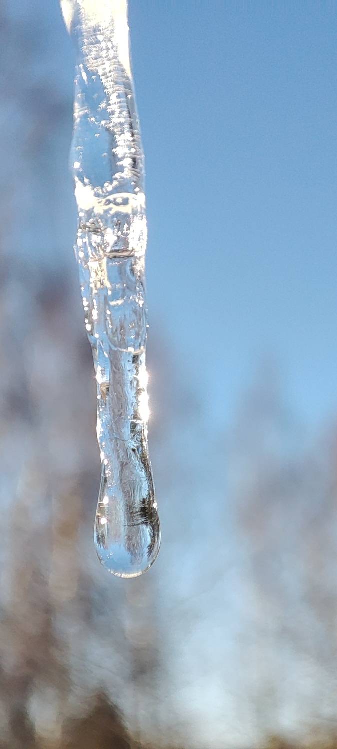 Photo #12603118