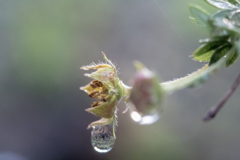 Photograph by Елена Фопа