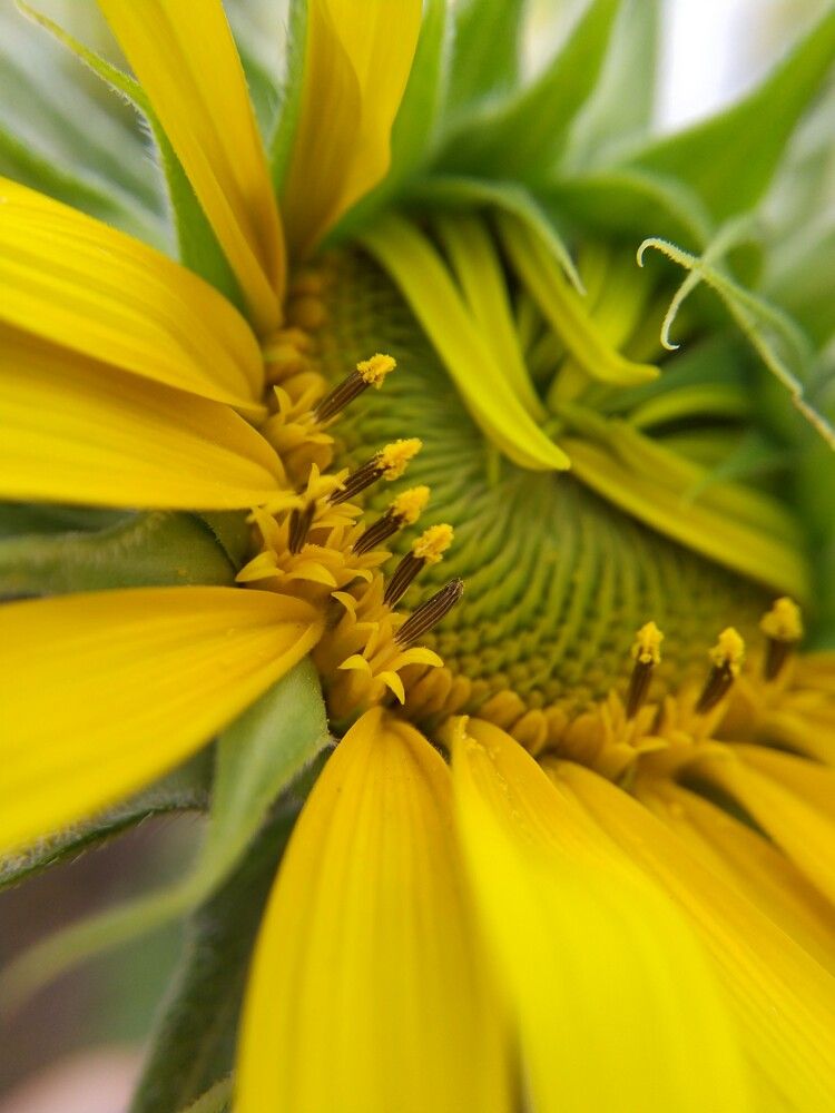 Фотография автора Наталья Алексеева