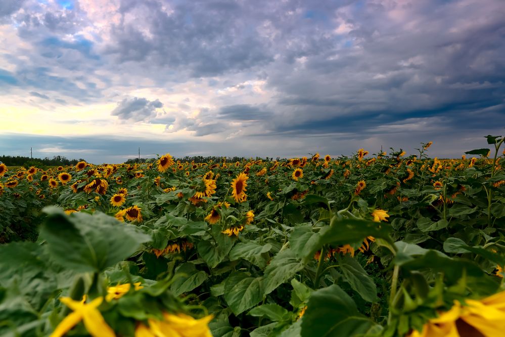 Photograph by Владимир Говоров