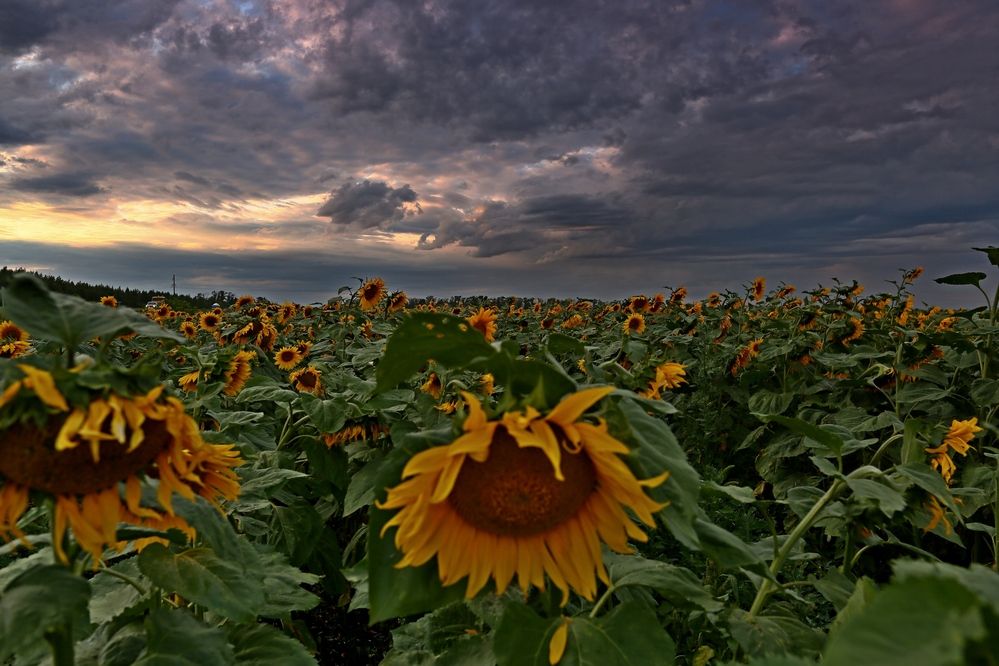 Photograph by Владимир Говоров