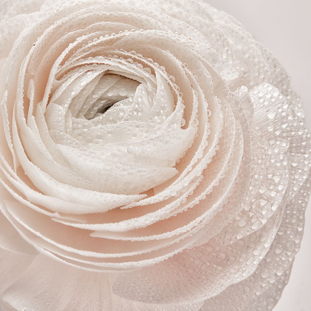 Photograph by Evgeniya Stafeeva