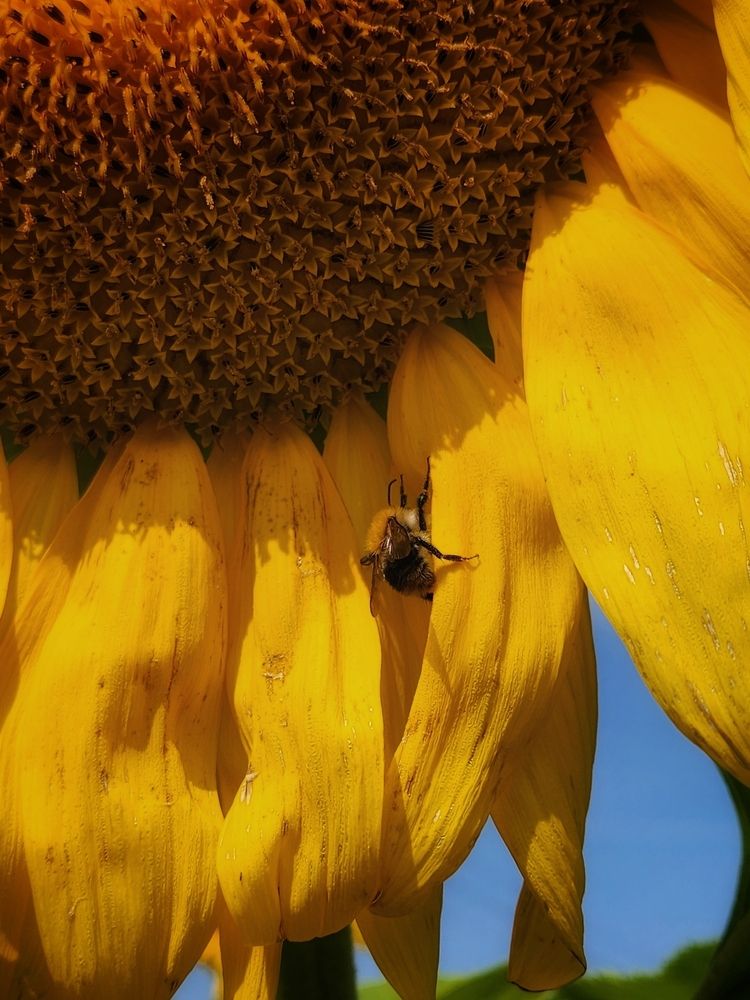 Фотография автора Татьяна Сякина