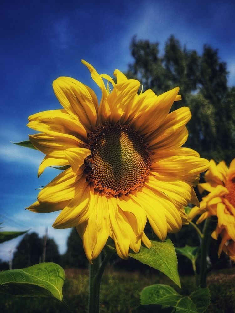 Фотография автора Татьяна Сякина