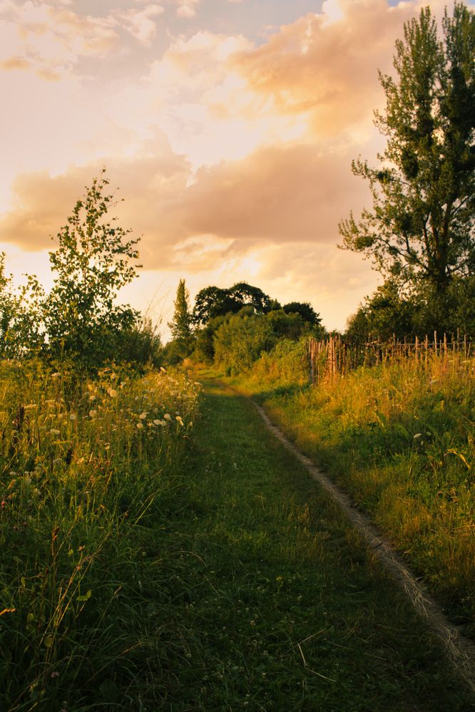 Photograph by Эмма Астапова