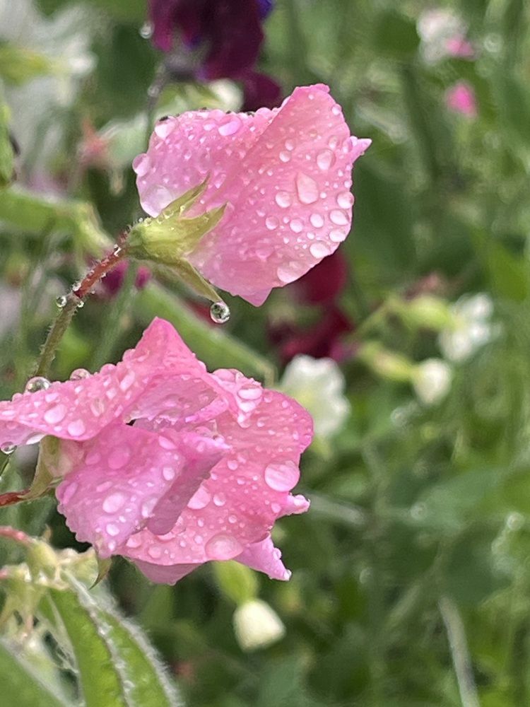 Photograph by Magdalena Wysztygiel