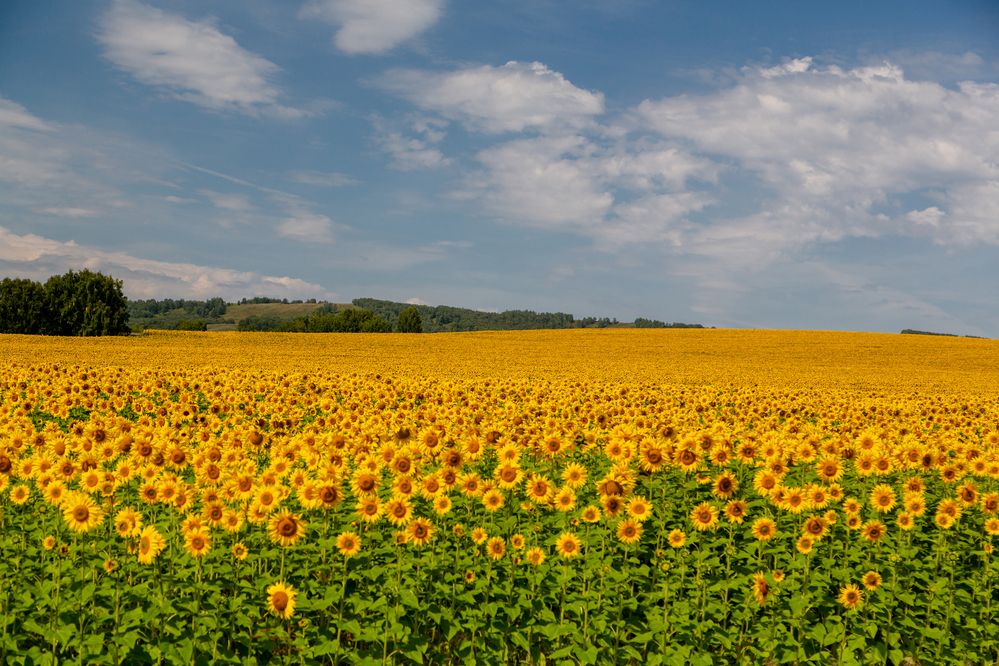 Photograph by Семенов Александр