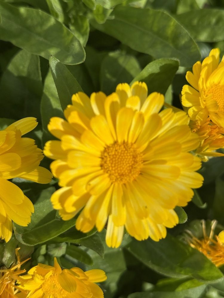 Photograph by Ольга Желтова