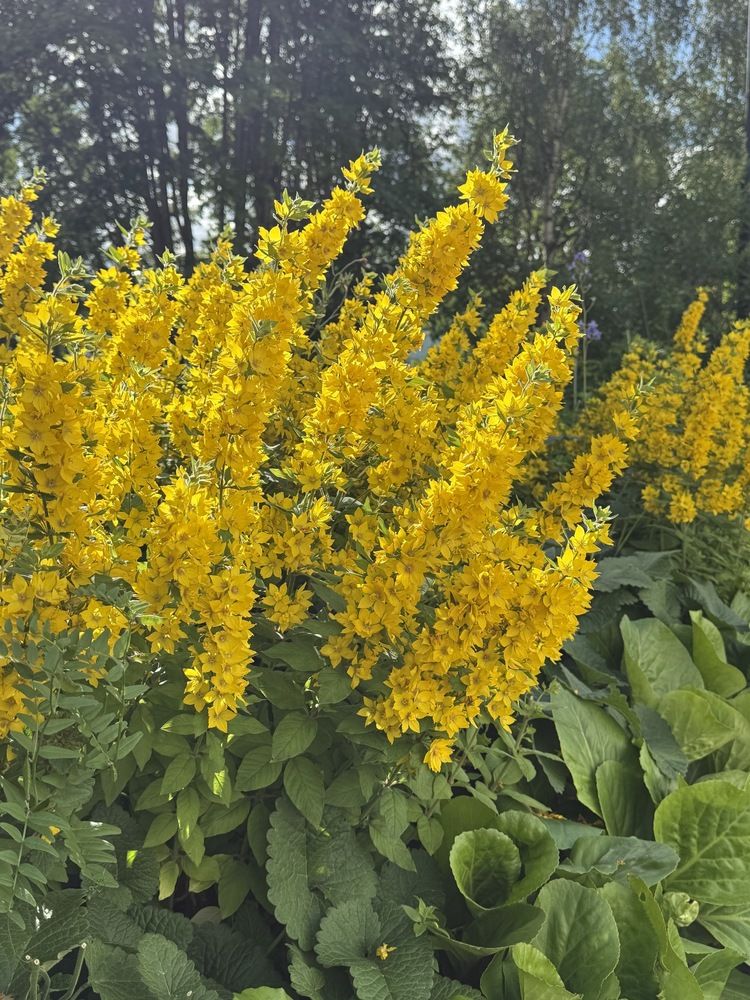 Photograph by Ольга Желтова