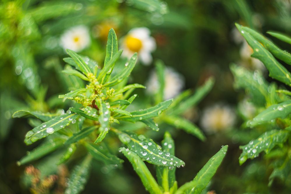 Photograph by Денис Пономарёв