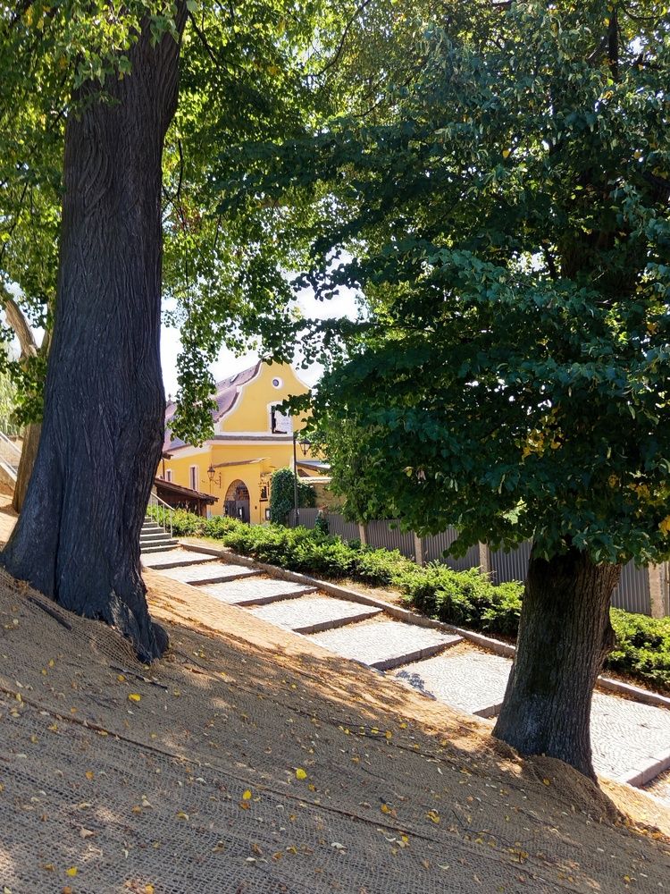 Фотография автора Jindřiška Kučerová