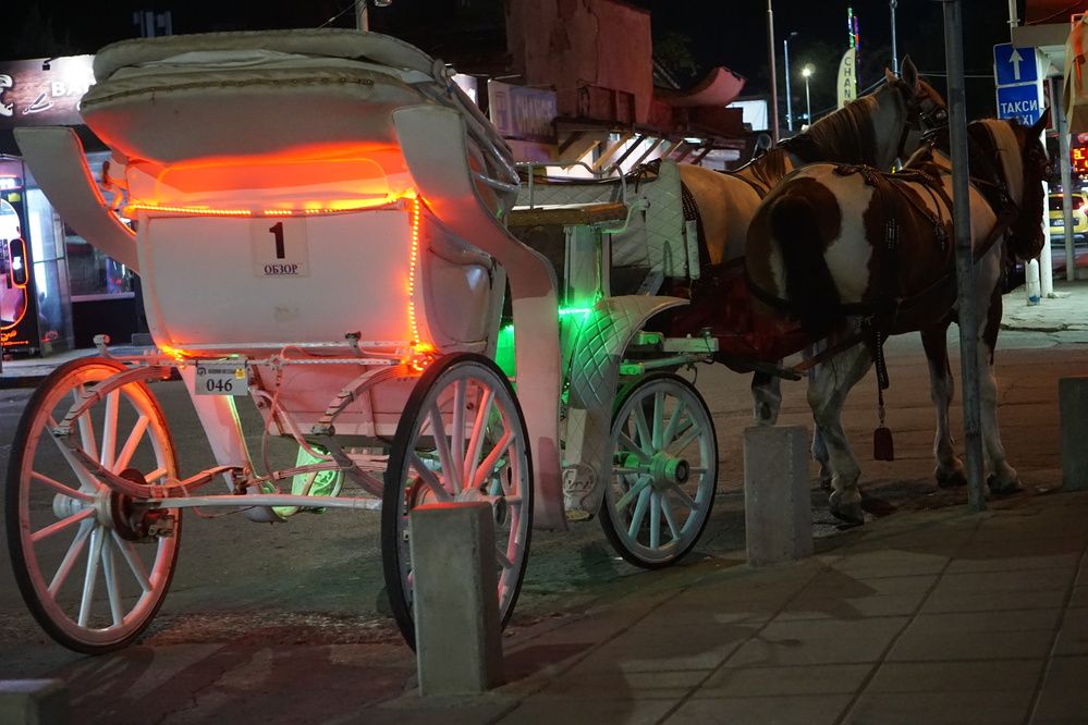 Photograph by Bozhidar Atanasov