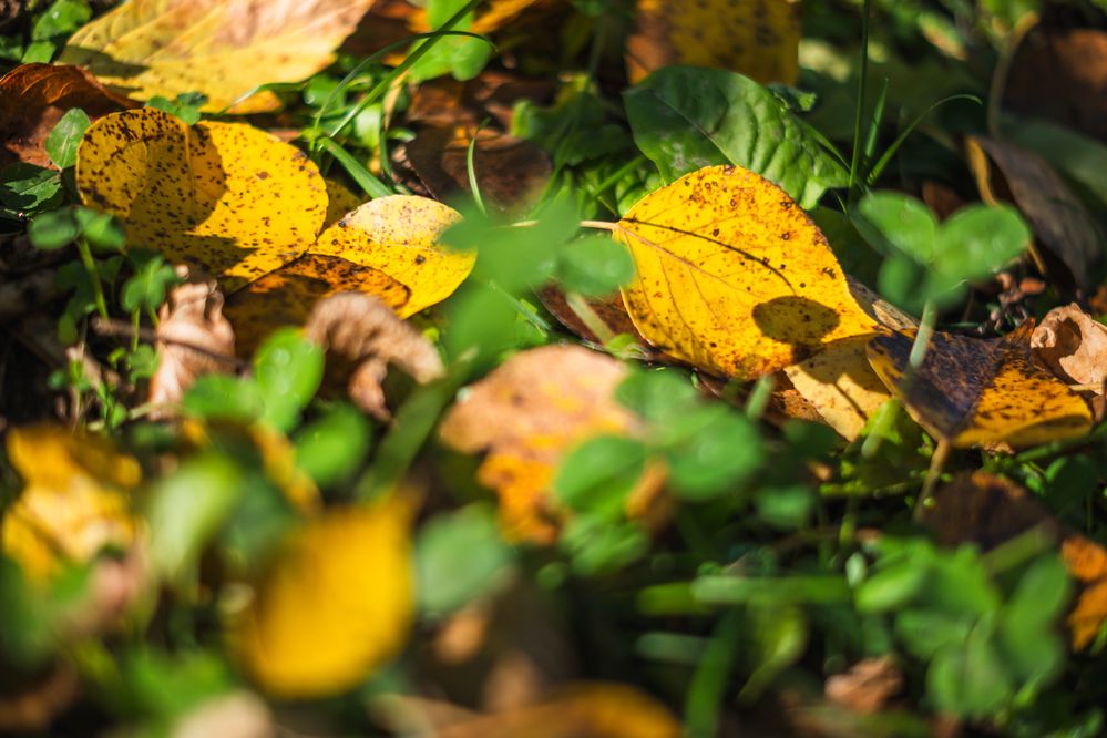 Photograph by Денис Пономарёв