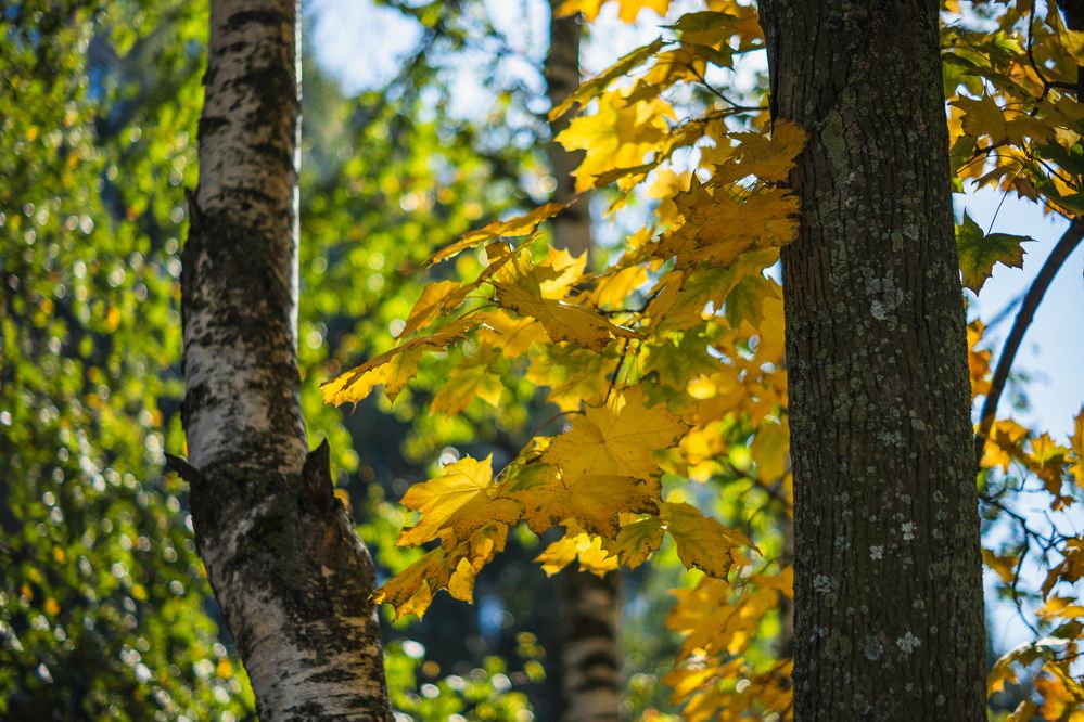 Photograph by Денис Пономарёв