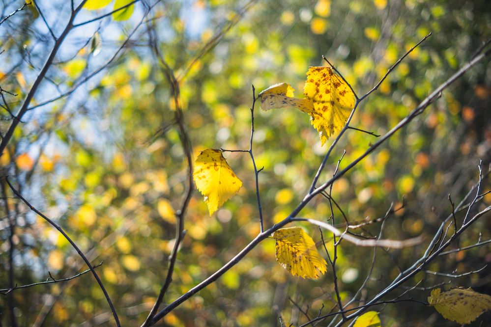 Photograph by Денис Пономарёв