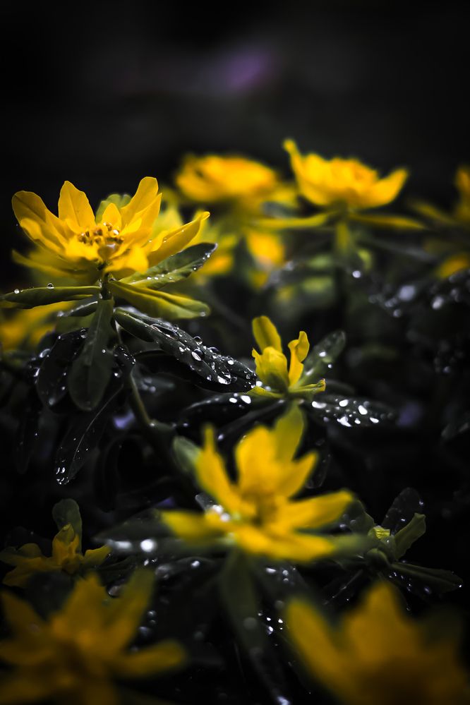 Photograph by Руслана Ковалевская