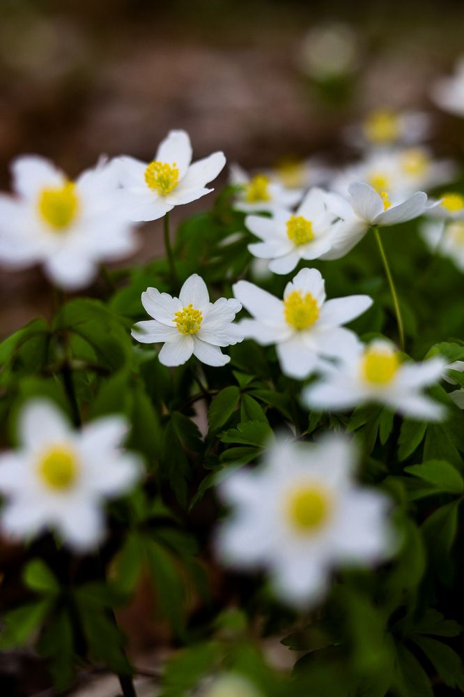 Photograph by Руслана Ковалевская