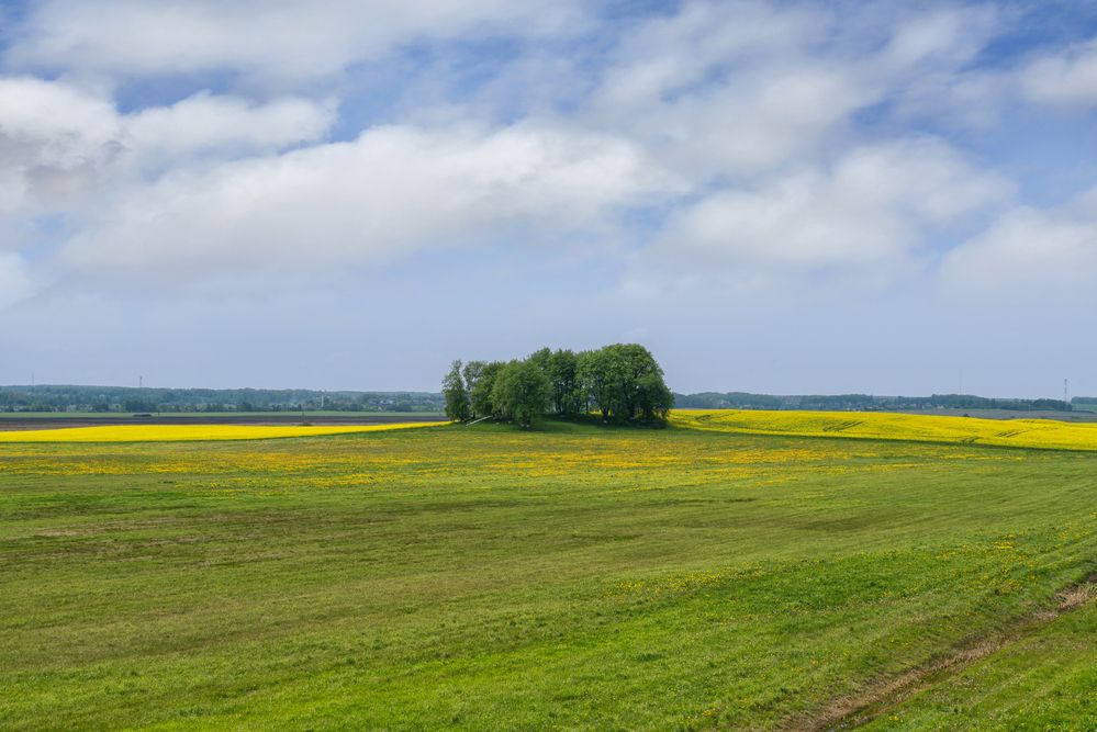 Photograph by Александр Панченко