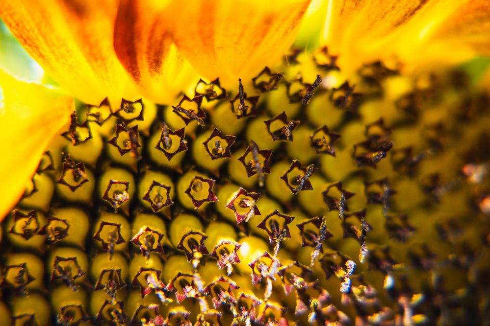 Photograph by Денис Пономарёв