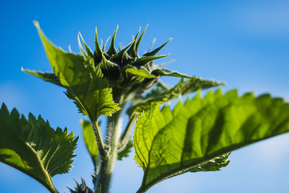 Photograph by Денис Пономарёв