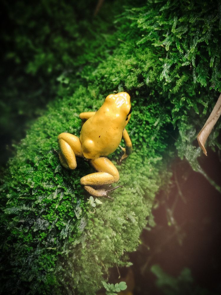 Photograph by Nataly Gusarova