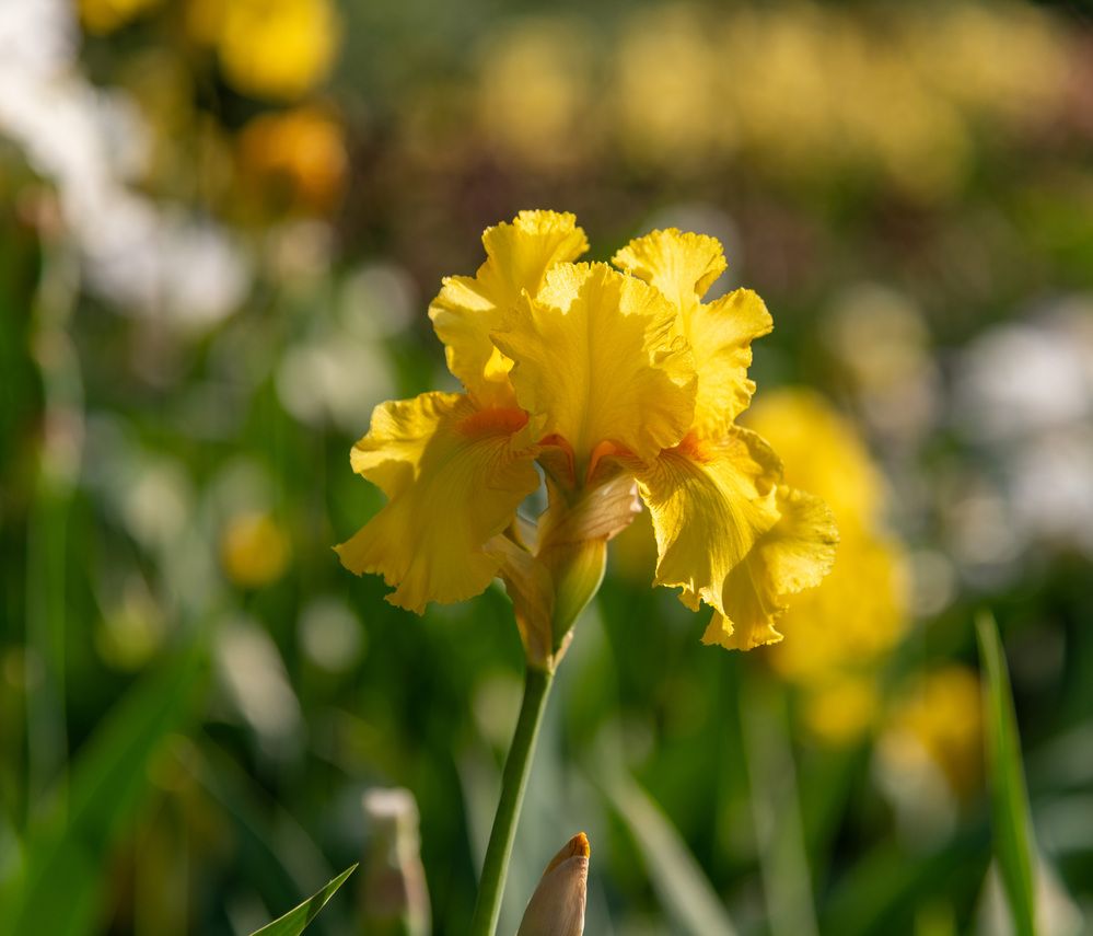 Photograph by Екатерина Крючкова