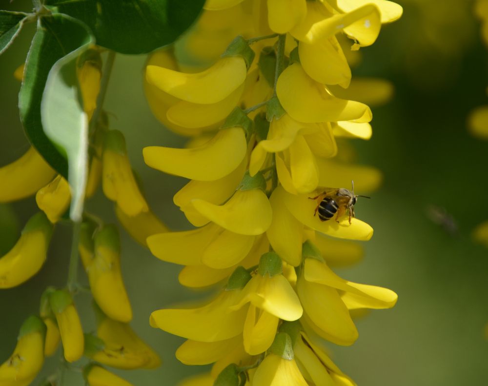 Photograph by Екатерина Крючкова