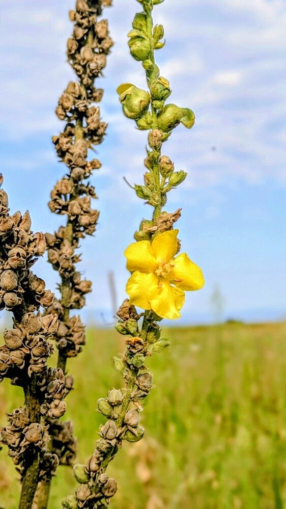 Photograph by Lilit Petrosyan