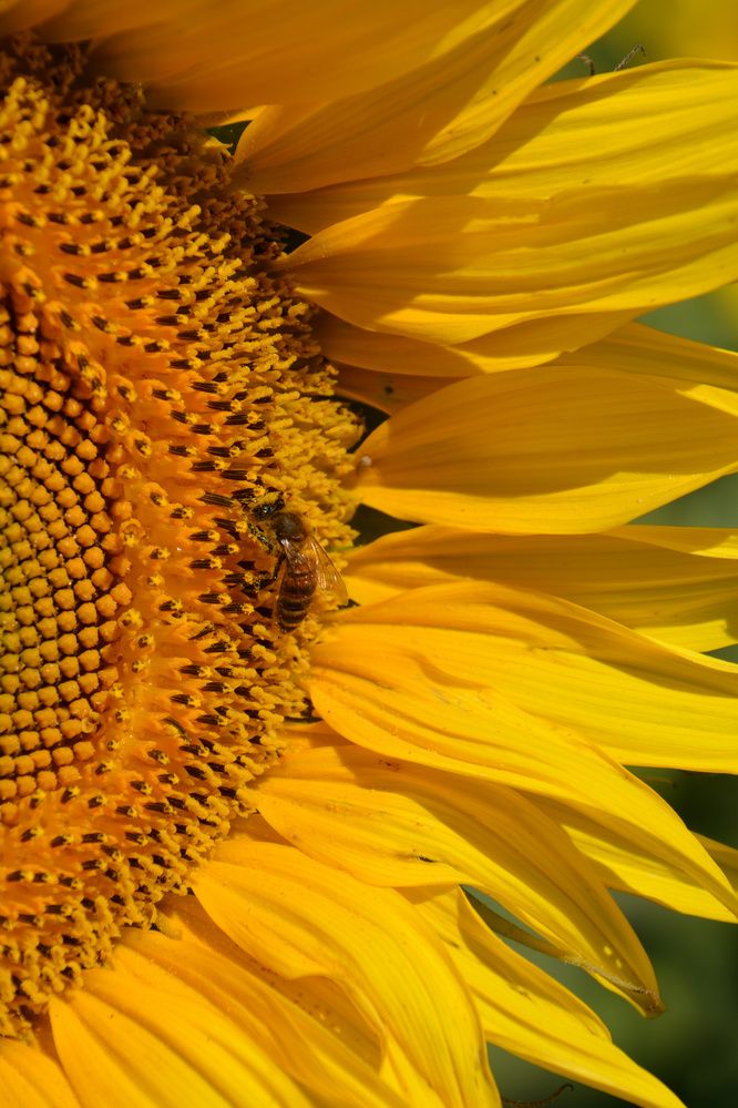 Photograph by Екатерина Крючкова