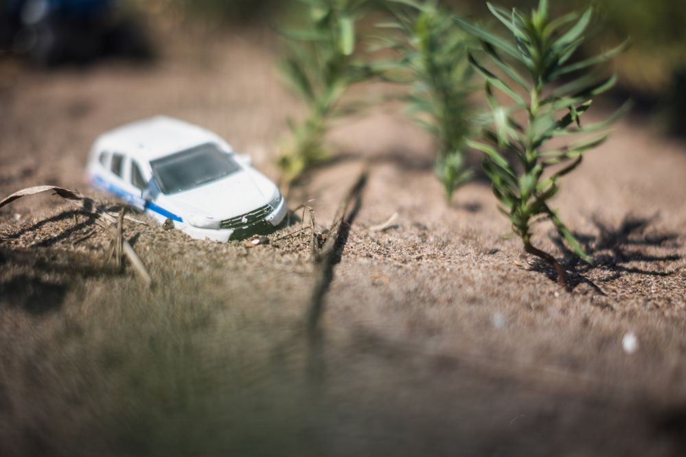 Photograph by Денис Пономарёв