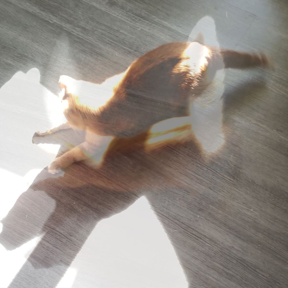 Photograph by Калюнова Наталья