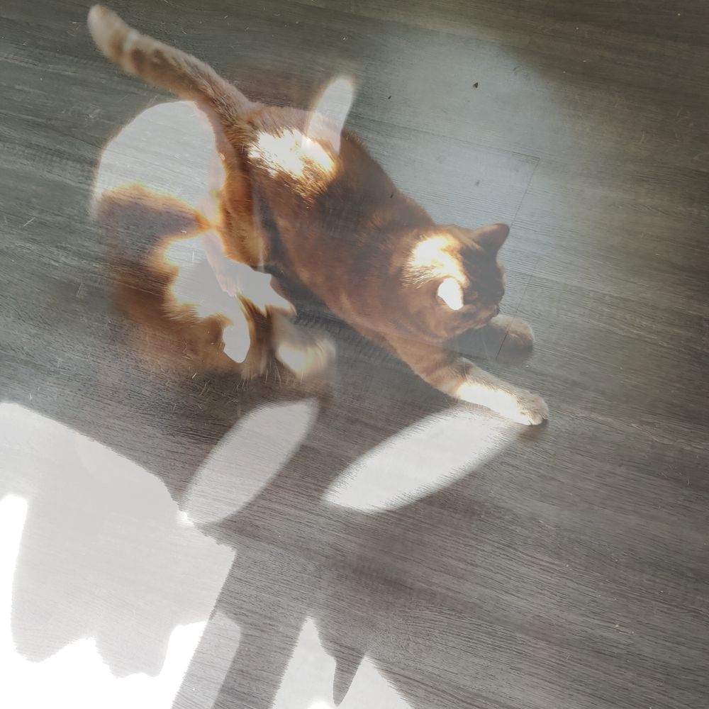 Photograph by Калюнова Наталья