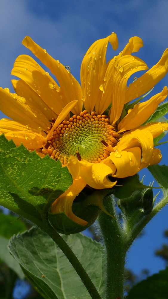 Photograph by Станислав Карташов