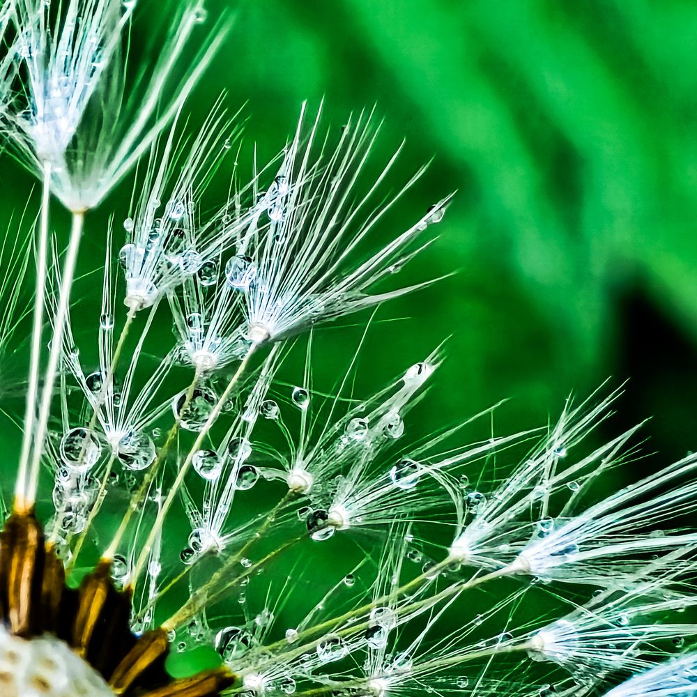 Фотография автора Нина Зинченко