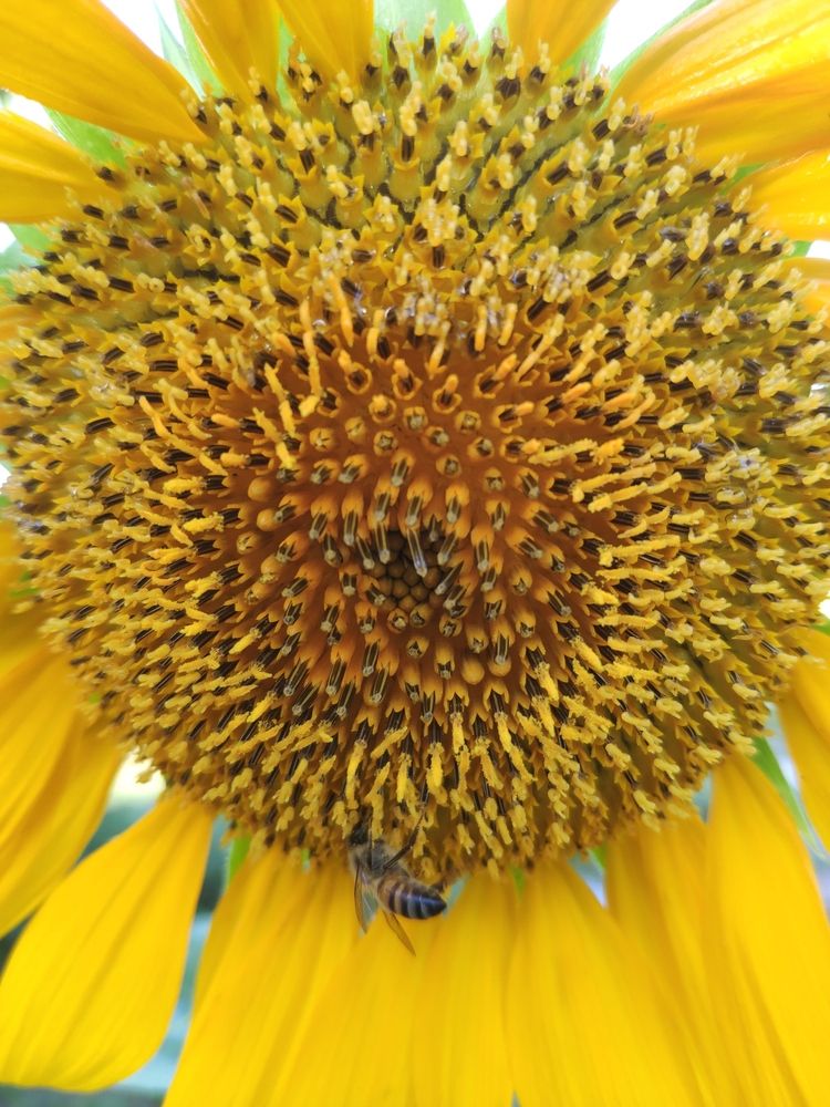 Photograph by Marzio Fattorini