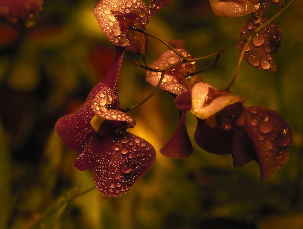 Фотография автора Кулешов Сергей