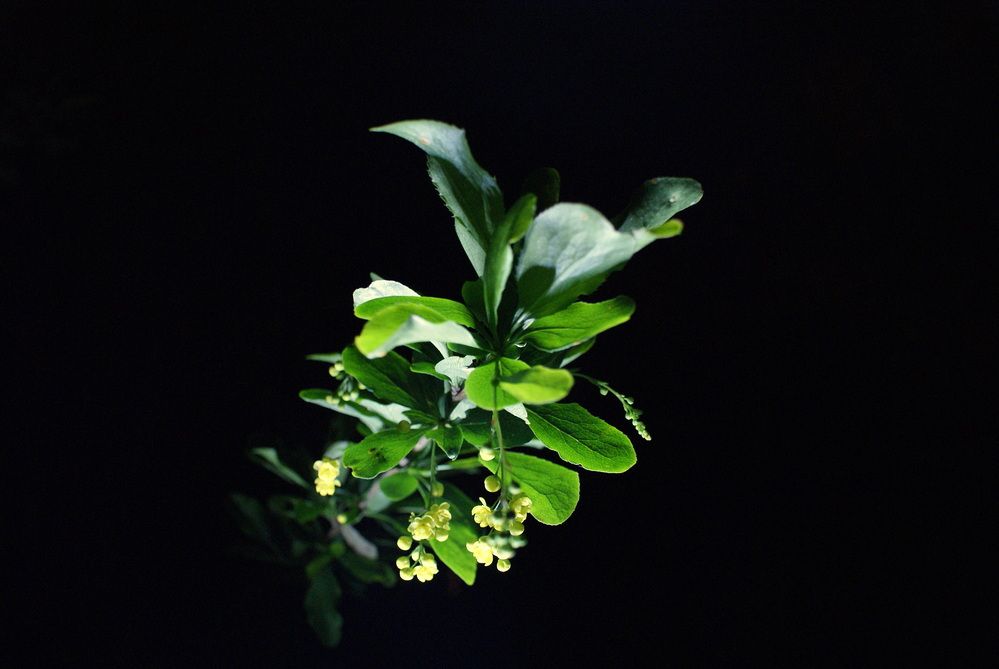 Photograph by Павел Москаленко