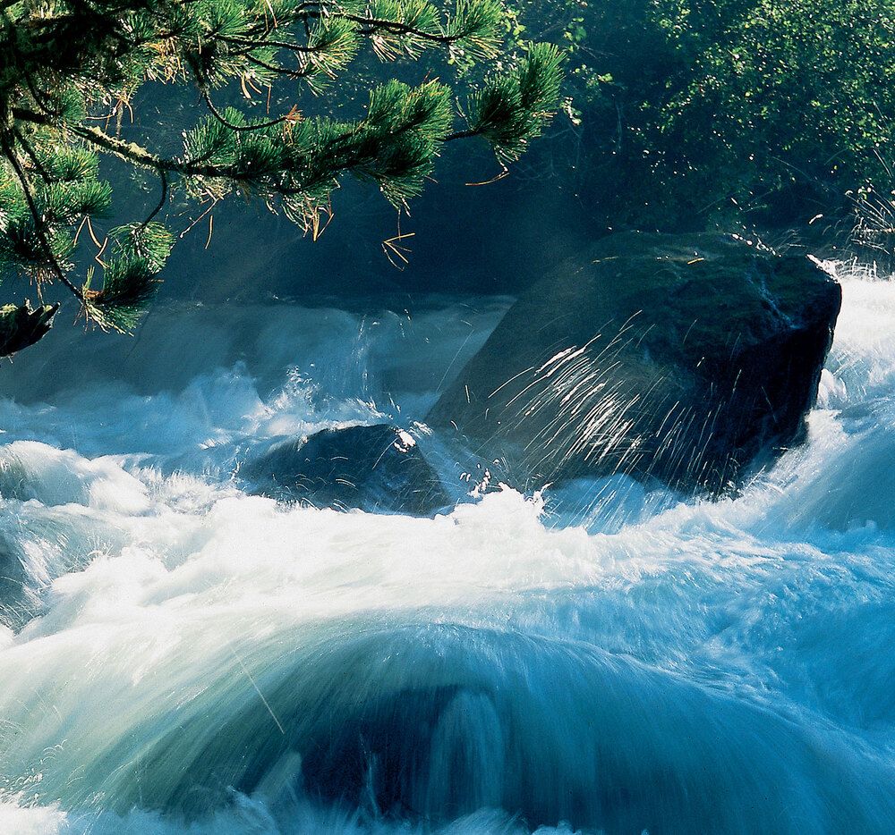 Photograph by Дмитрий Ткаченко