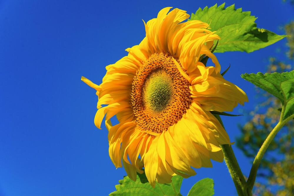 Фотография автора Лидия Киприч