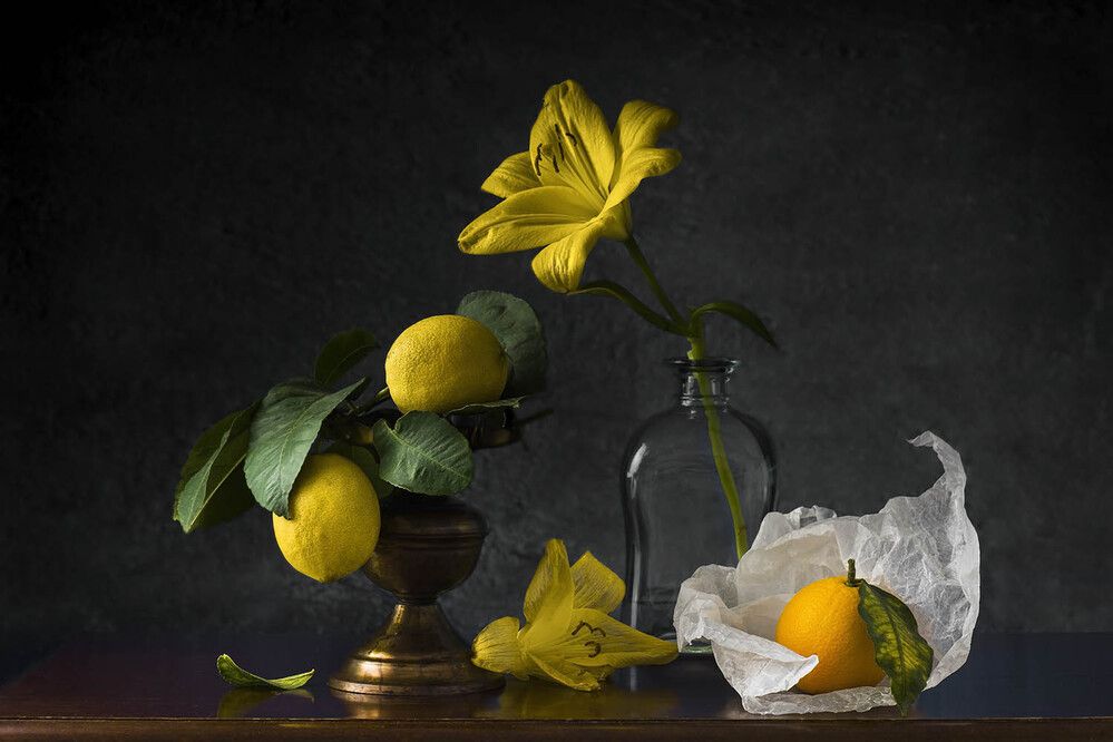 Photograph by Солодар Виктория