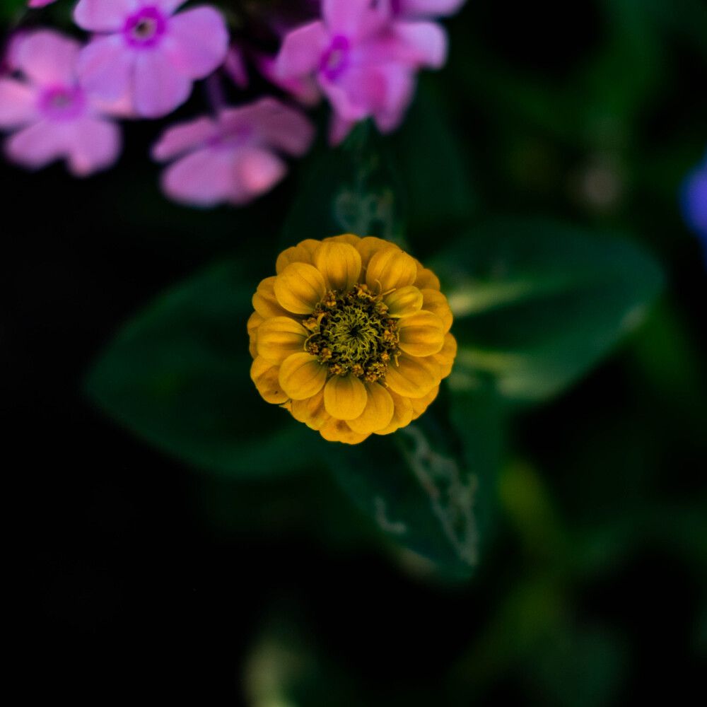 Photograph by Максим Шевченко