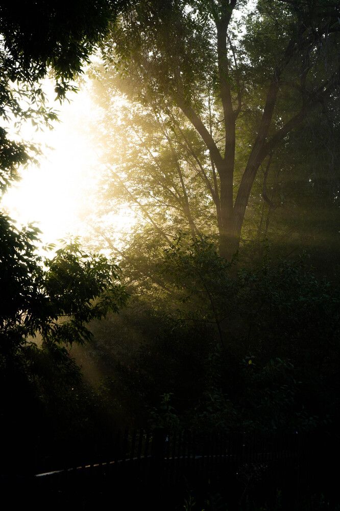 Photograph by Максим Шевченко