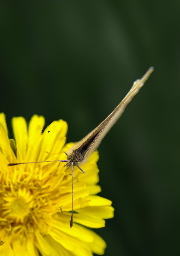 Фотография автора Наталья Алексеева