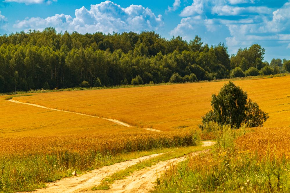 Фотография автора Aamoda Kitchen